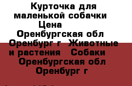 Курточка для маленькой собачки › Цена ­ 300 - Оренбургская обл., Оренбург г. Животные и растения » Собаки   . Оренбургская обл.,Оренбург г.